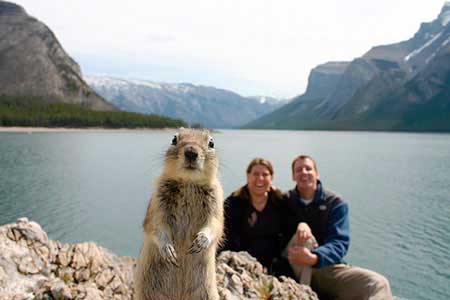 Squirrel jumps into photo